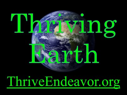 Thrive or Not - video - 3 - 1m blk Title 040220